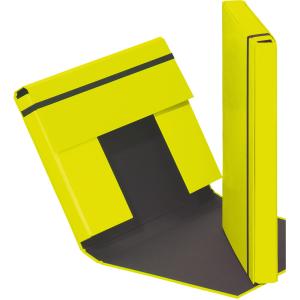 Pagna Trend Sammelboxen A4 lindgrün SOLANGE VORRAT!!
