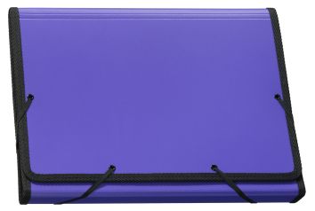 Fächermappe Daily Colours A4 violett 13-teilig, 11.032.13