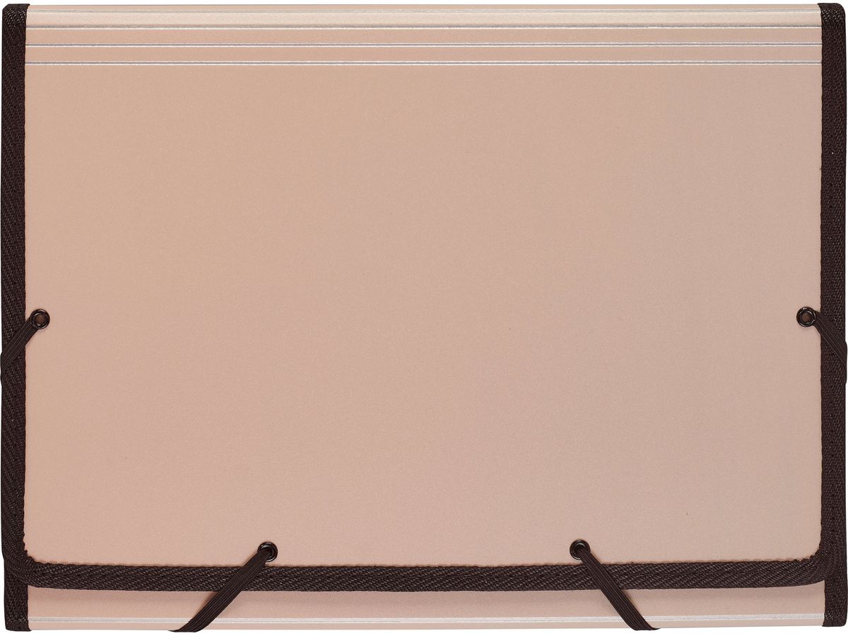 Fächermappe Daily Bliss A4 roségold 13-teilig, 11.033.08 SOL. VORRAT!!