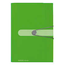 Herlitz Fächermappe A4 PP grün 12 Fächer mit Tabs