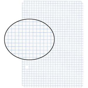 Einlageblätter A6, 4 mm kariert grau 2-fach gelocht, Nr. 450624, Pk à 100 Stk