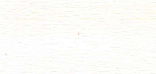 Krepp-Papier 50 x 250 cm weiss SPEZIALBESTELLUNG