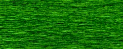Krepp-Papier 50 x 250 cm grün SPEZIALBESTELLUNG