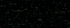 Krepp-Papier 50 x 250 cm schwarz SPEZIALBESTELLUNG