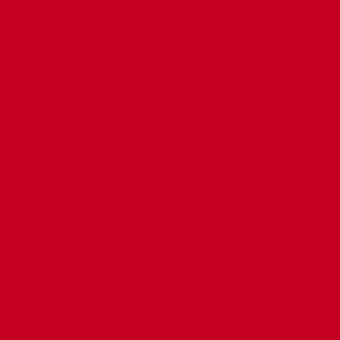 Modellierfilz 30 x 45 cm rot Beutel à 5 Stück SPEZIALBESTELLUNG
