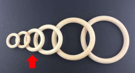 Holzringe Buche roh 56 mm Durchmesser Beutel à 50 Stück SPEZIALBESTELLUNG