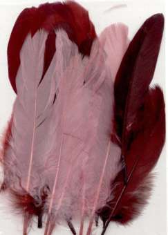 Federn weinrot7rosa/bordeaux Beutel à 15 Stück SPEZIALBESTELLUNG