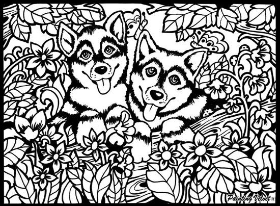 TataRuga Samtbild A4 Huskys SPEZIALBESTELLUNG