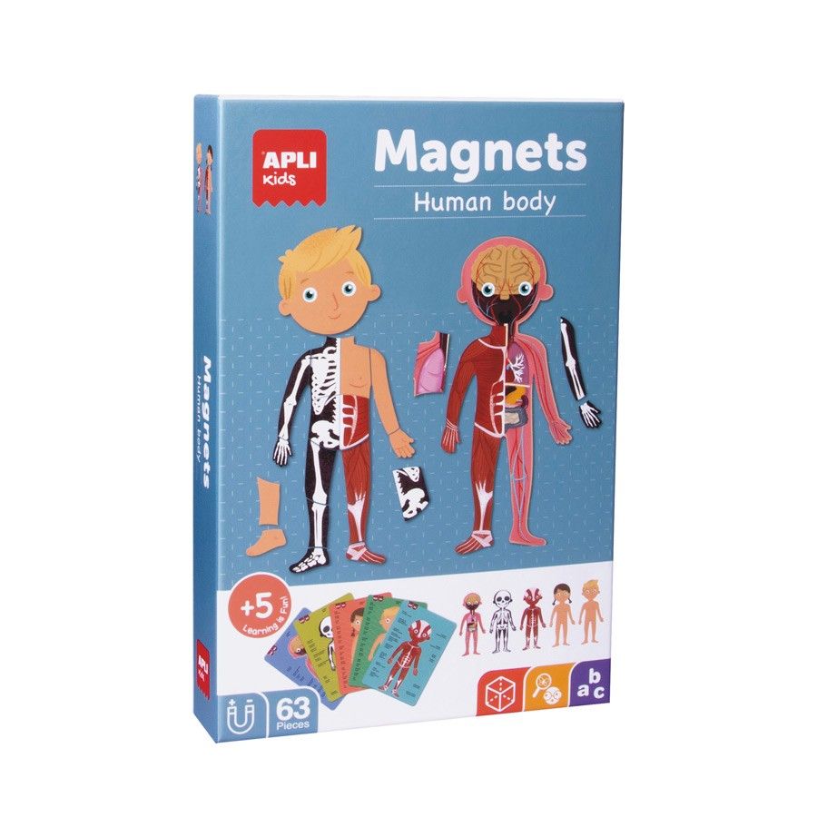 Magnetspiel Der menschliche Körper 1 Magnettafel, 63 Magnetteile