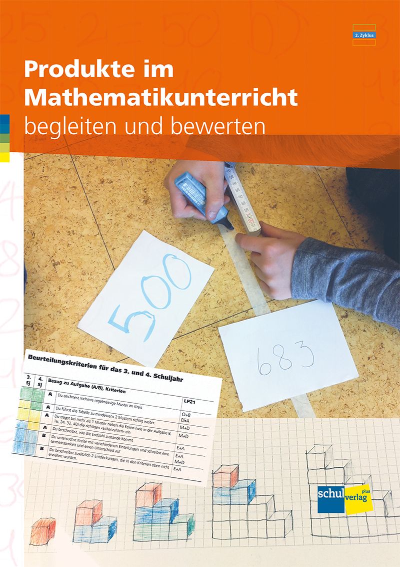 Produkte im Mathematik- unterricht begleiten und bewerten, SOLAN