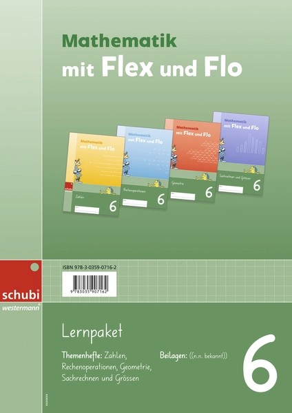 Flex und Flo Mathe Lernpaket Mathematik 6, SPEZIALBESTELLUN